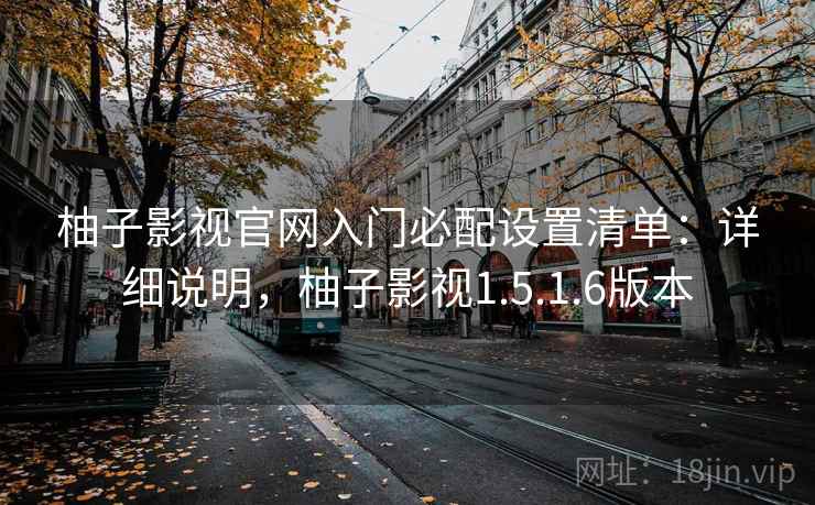 柚子影视官网入门必配设置清单：详细说明，柚子影视1.5.1.6版本