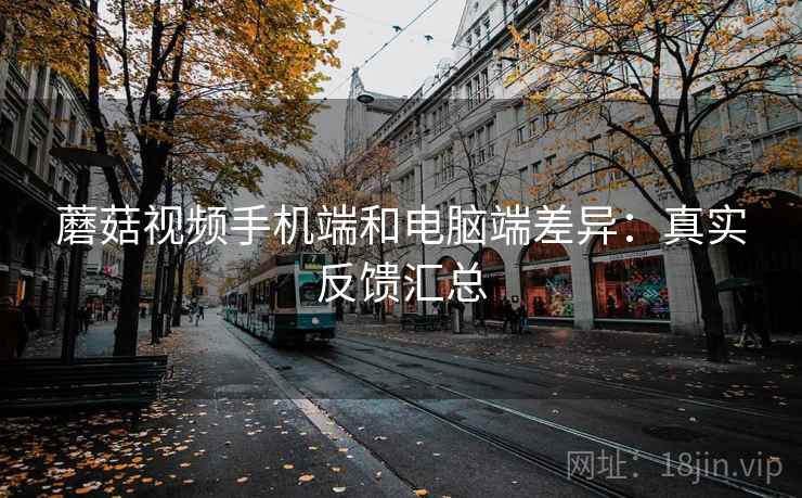 蘑菇视频手机端和电脑端差异：真实反馈汇总