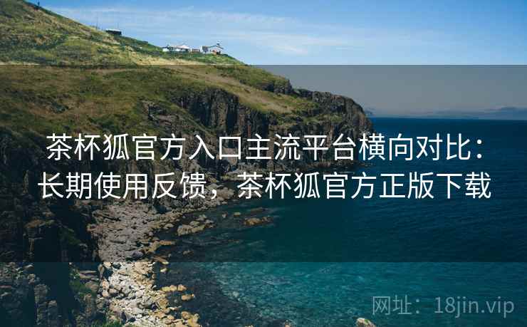 茶杯狐官方入口主流平台横向对比：长期使用反馈，茶杯狐官方正版下载